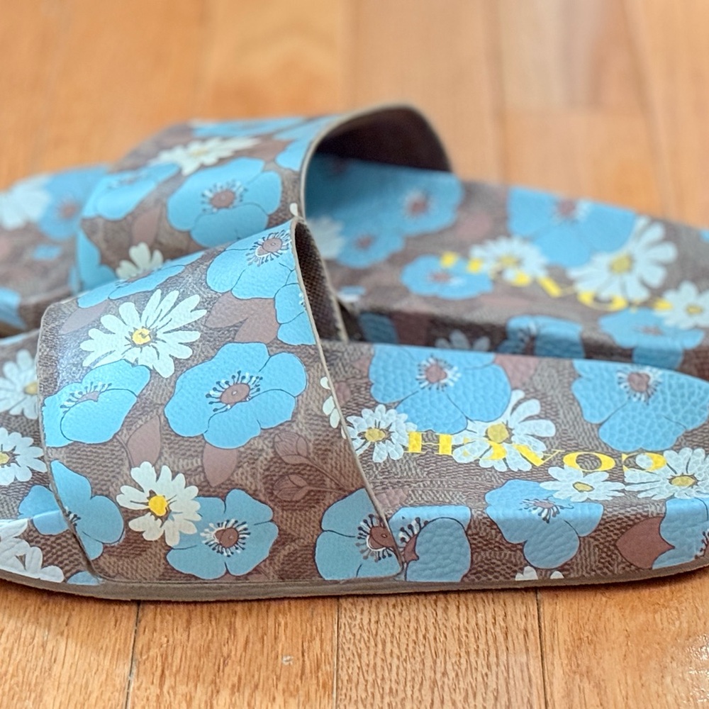 Coach Blue and Brown Casual Sandals - Picture 2 of 5